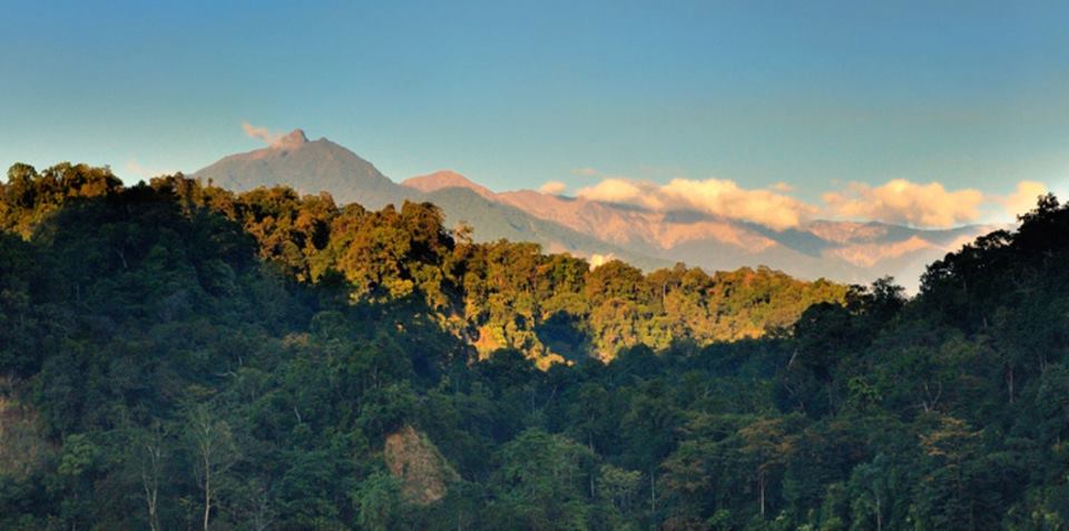 Sur les sentiers du Namdapha National Park