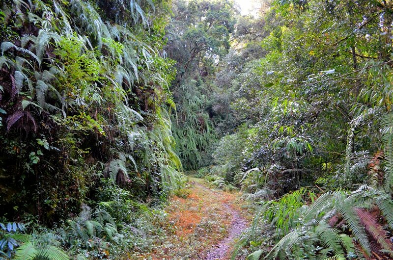 Aventure &amp; Jungle chez les Apatani