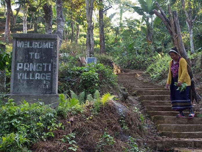 Migration du Faucon de l’Amour au Nagaland