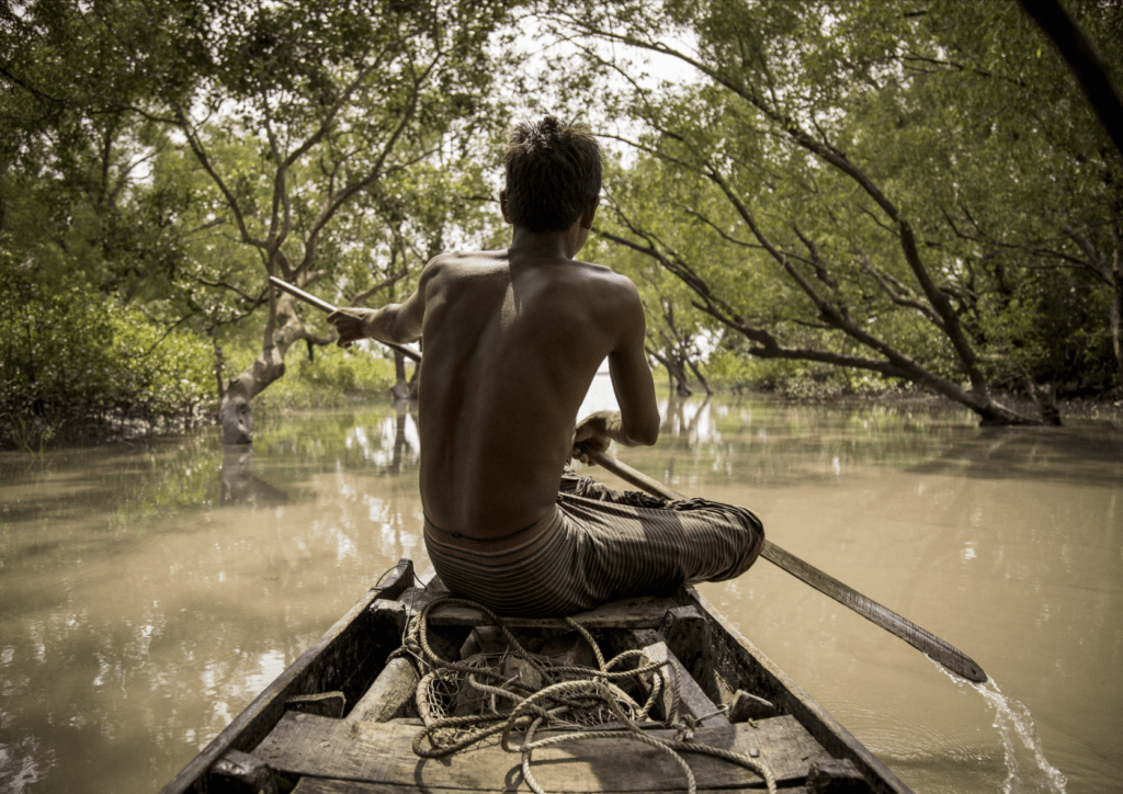 Pêcheur dans la Mangrove des Sundarbans