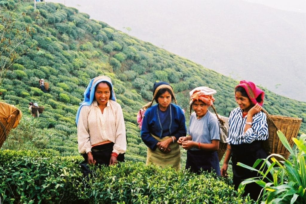 Darjeeling et Sikkim chez l'habitant